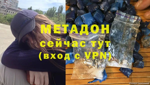 прущие грибы Абаза