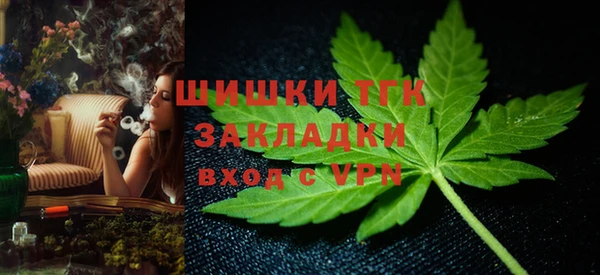 прущие грибы Абаза